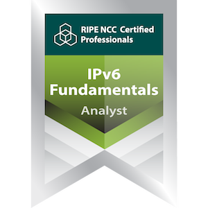 RIPE IPv6 fundamentals analyst